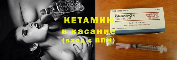 индика Белокуриха